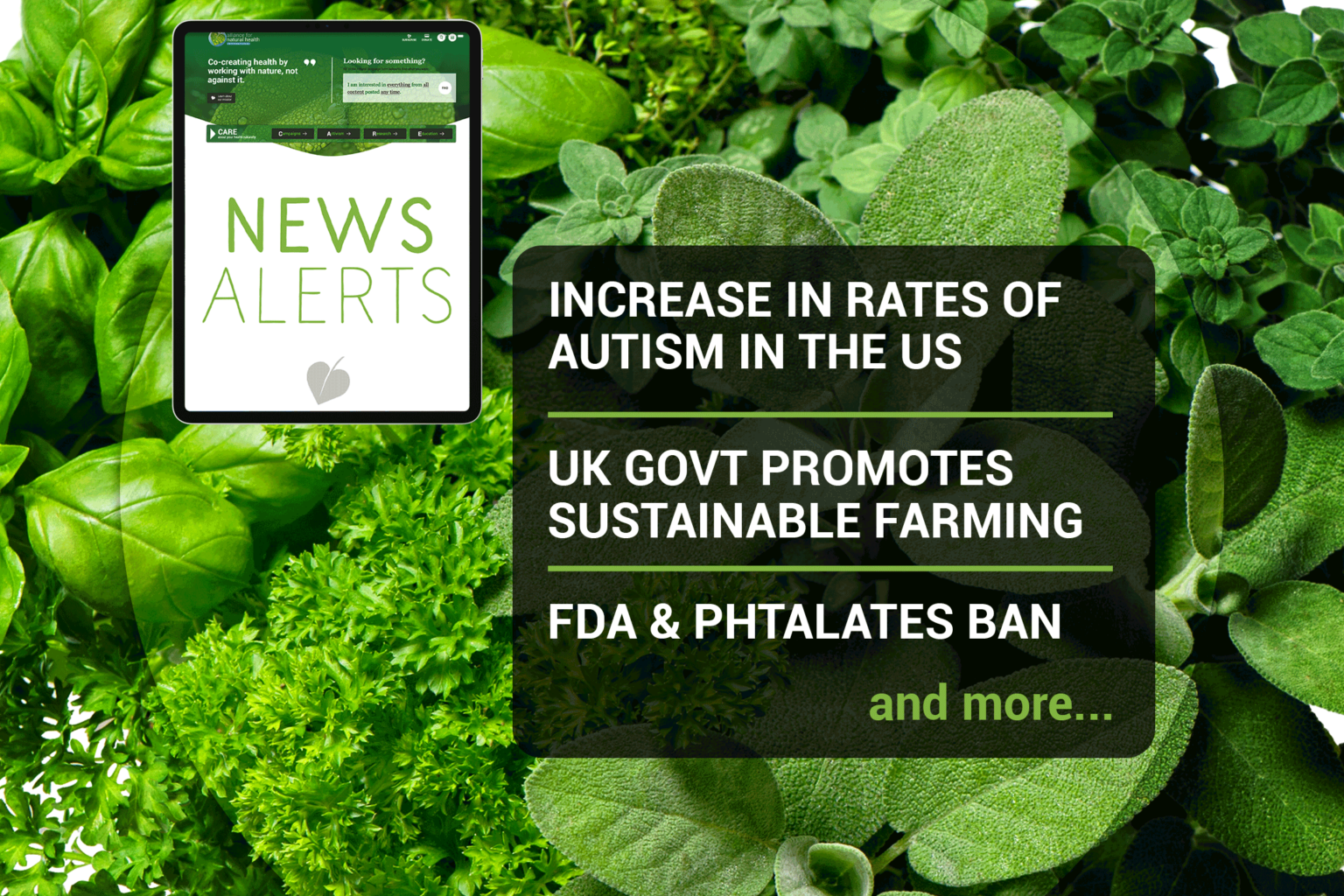 News roundup (week 49/2021) 669b69e0cf545.png