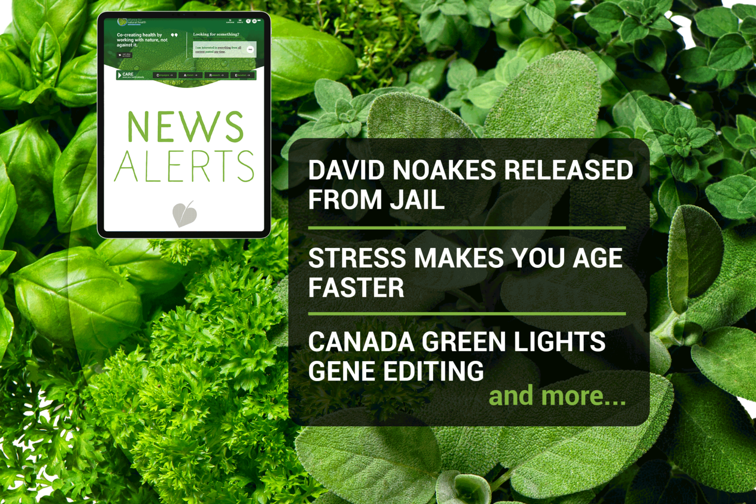 News roundup (week 50/2021) 669b69be00ee7.png