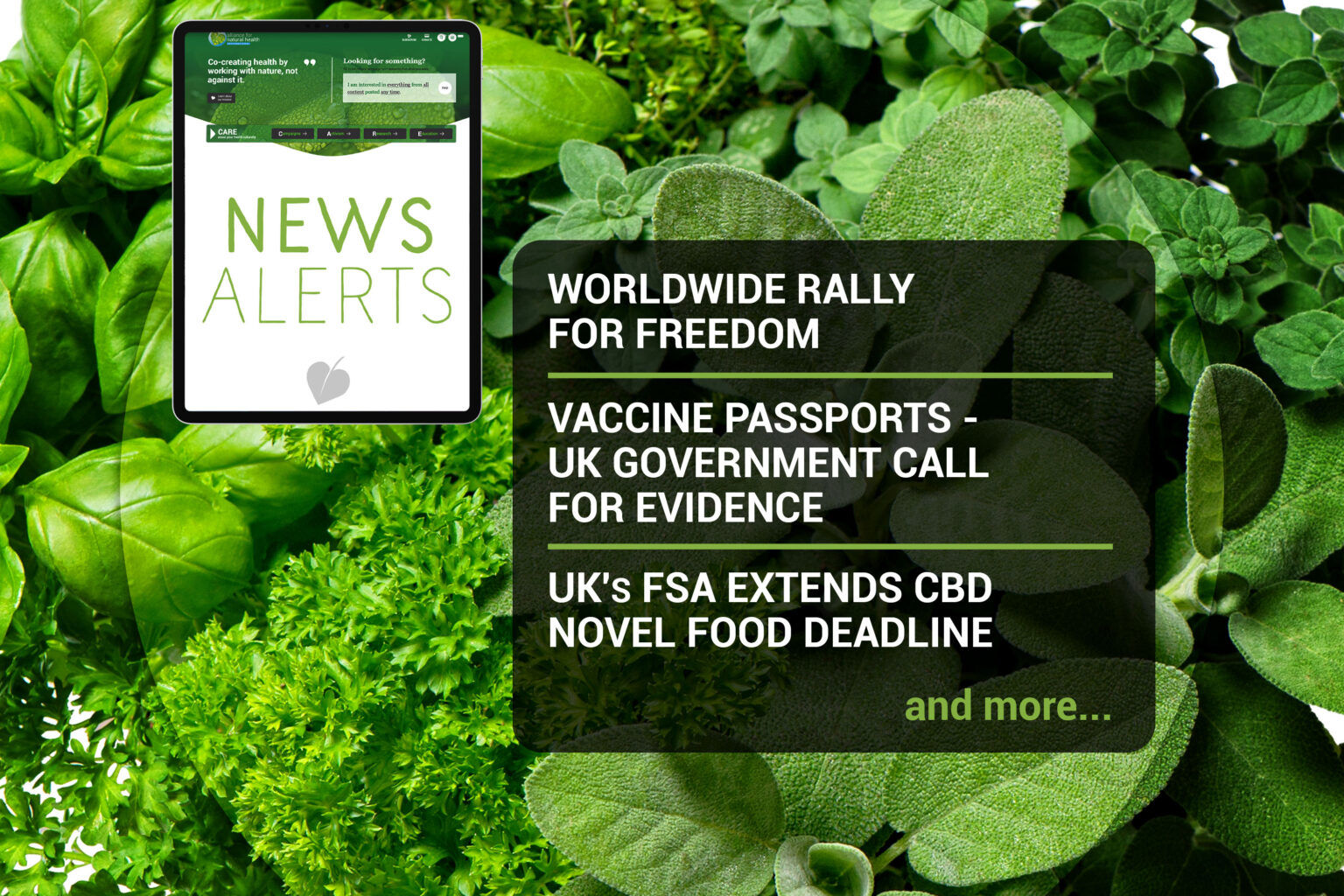 News: Week 11, ’21 669b6d102d9c0.jpeg