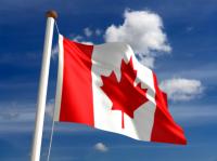 Ontario considers curbing vitamin D testing 669bd6deaf72a.jpeg