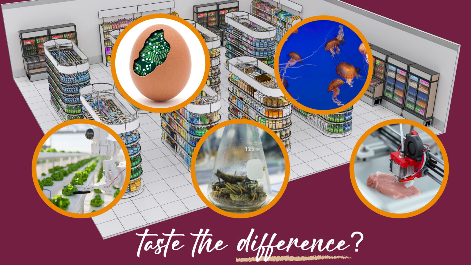Open letter to Simon Roberts, CEO of Sainsbury’s 669a82539bd00.jpeg