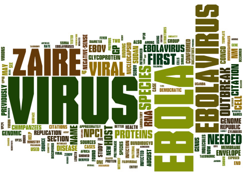 Opinion: Taking responsibility for Ebola 669bc102b6924.jpeg