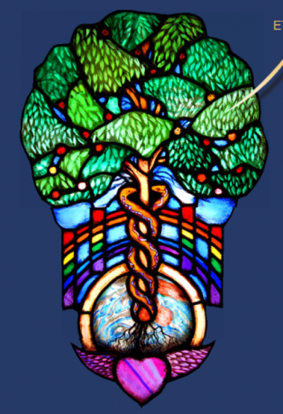 Our health predicament: How do we know what works and what doesn’t? 669bba9ebbd89.png