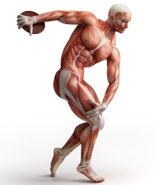 Pharma giant GSK muscles in on UK sports science teaching 669bcf3f360f5.jpeg