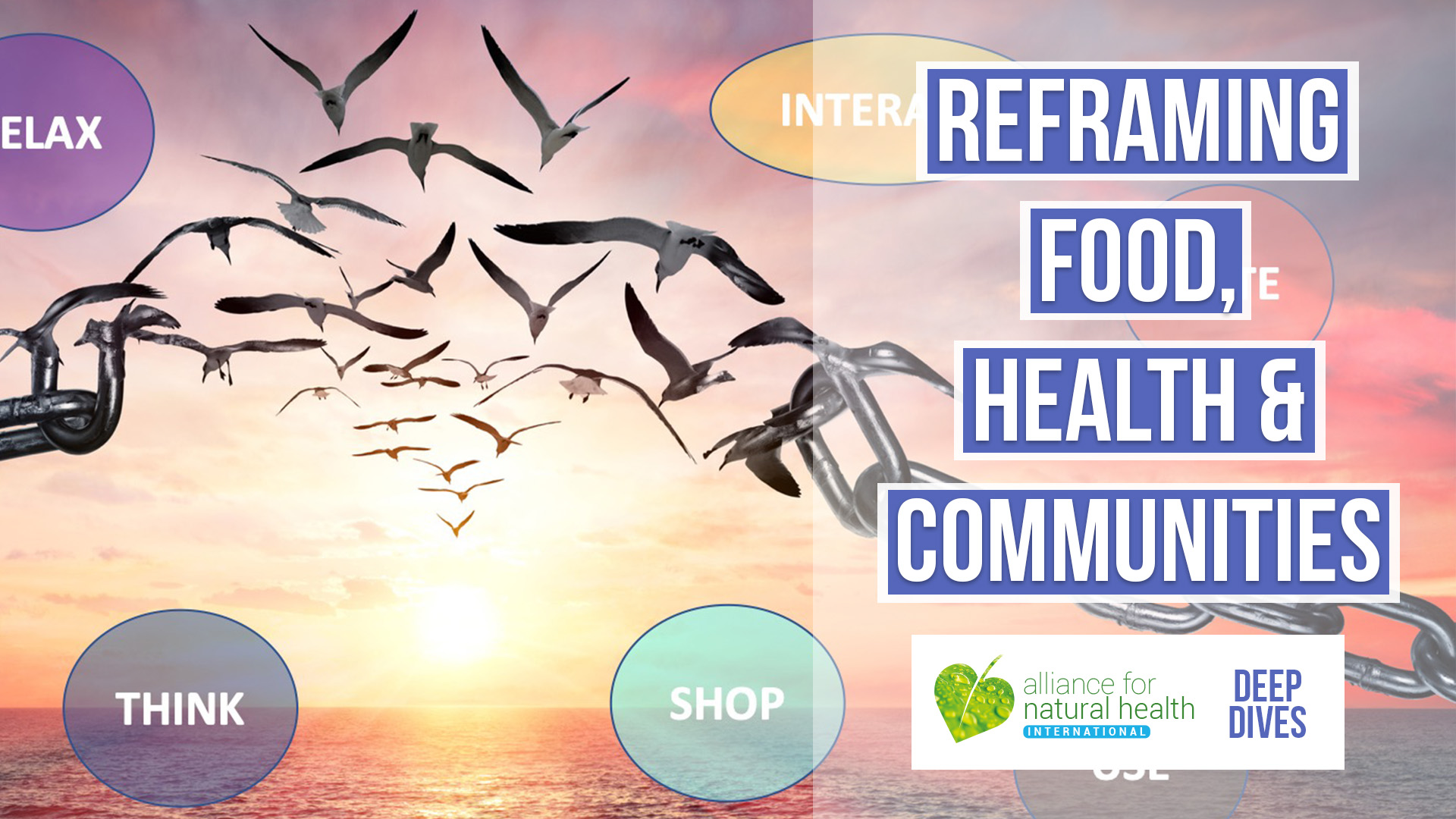 Reframing health, food & communities through the lens of sustainability 669a556b02891.jpeg