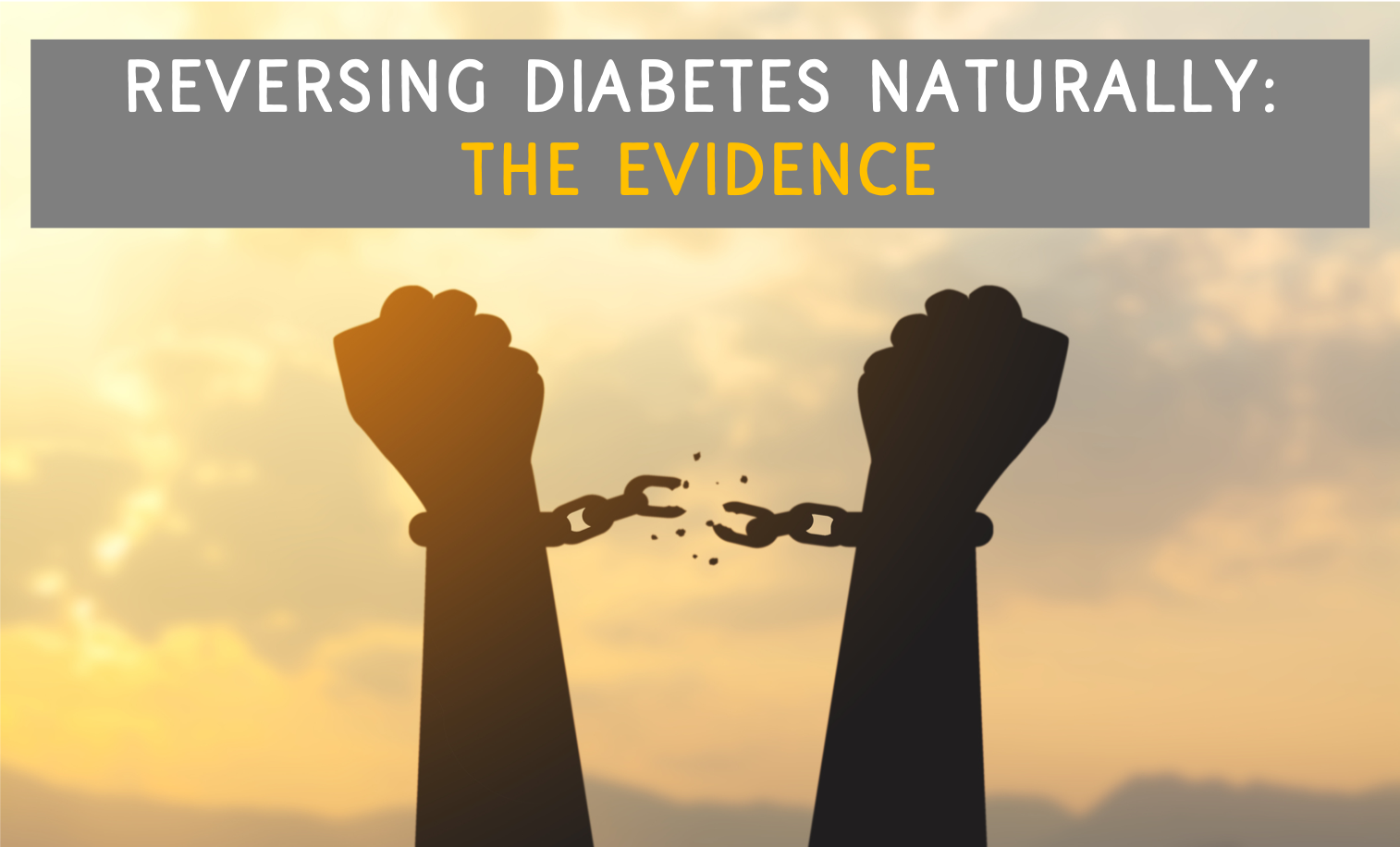 Reversing diabetes naturally: The evidence 669ba292a0eed.png