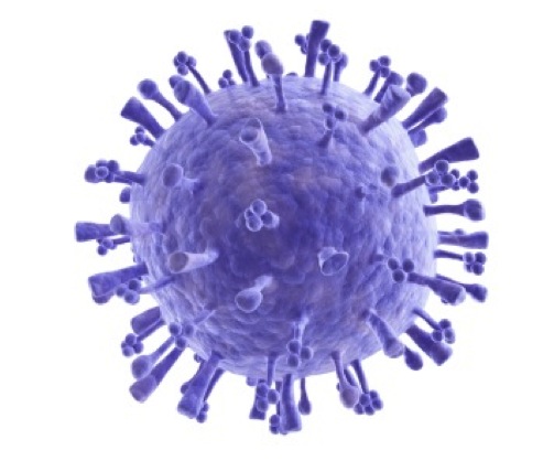 Risk from swine flu vaccine ‘greater than catching virus’ 669bdac0b461e.jpeg