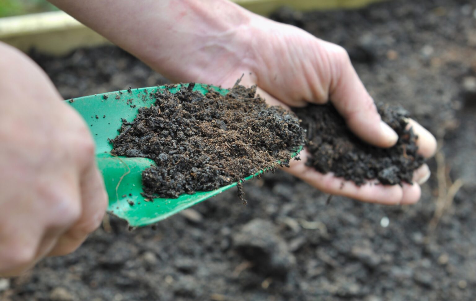 S.O.S. — Save Our Soils 669bbc6bc759c.jpeg