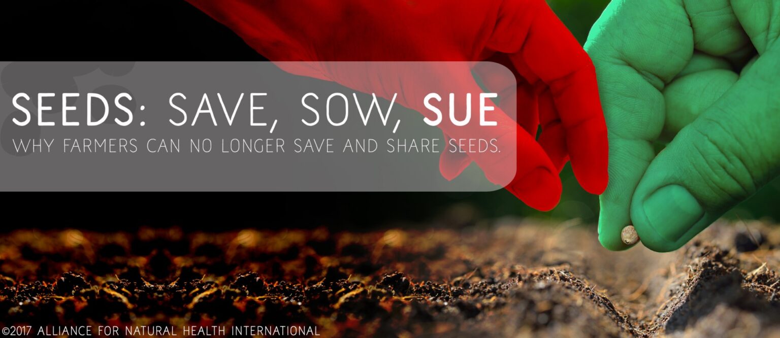 Seeds: Save, Sow, Sue 669bb4648f442.jpeg