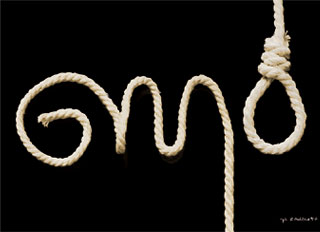 Spinning Seralini: why controversial GM study must not be ignored 669bce77509b8.jpeg