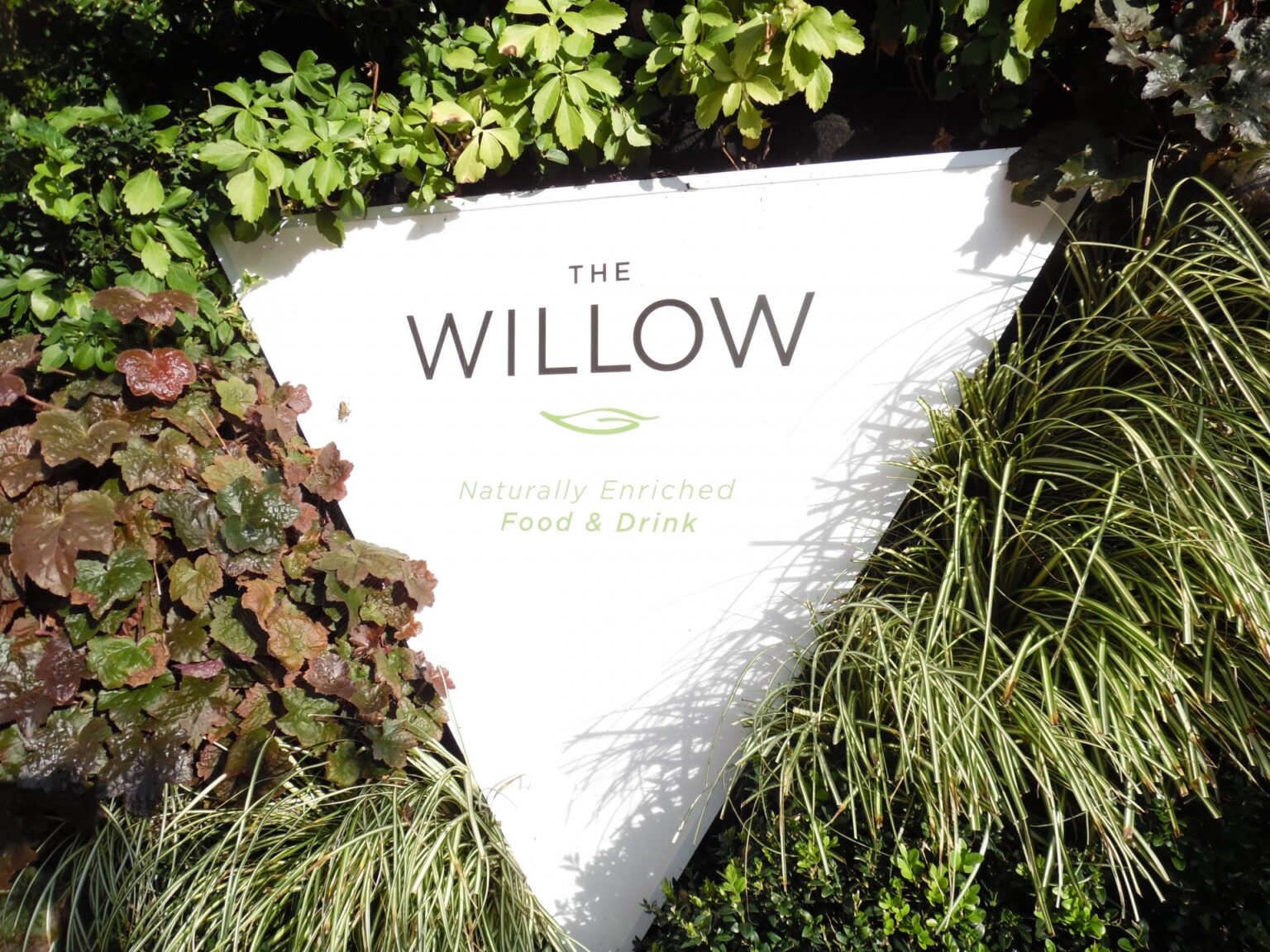 Taking a leaf out of The Willow 669bb89e00945.jpeg