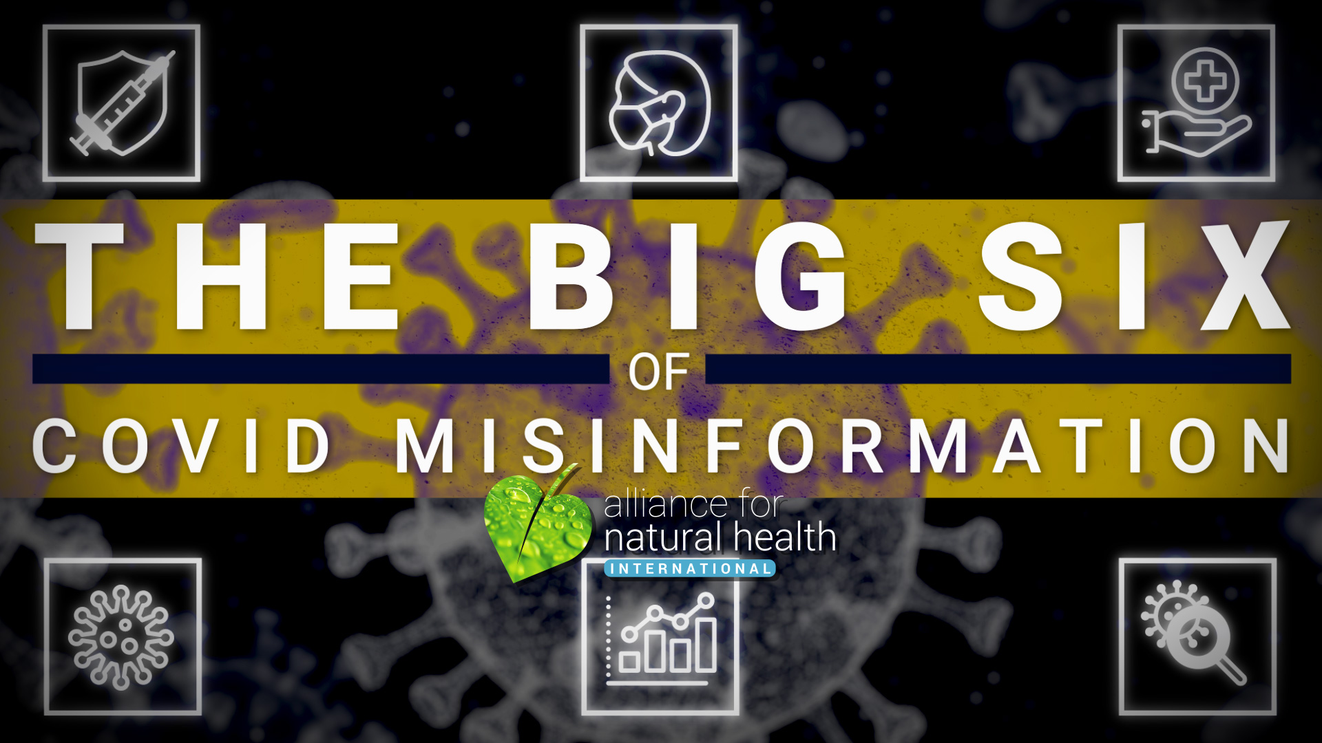 The Big 6 areas of Covid misinformation 669b6fc62d2ed.jpeg