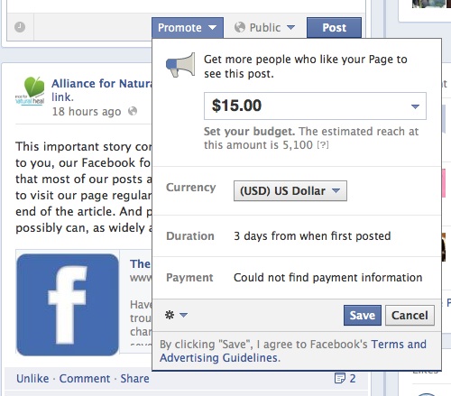 Facebook's Promoted Posts
