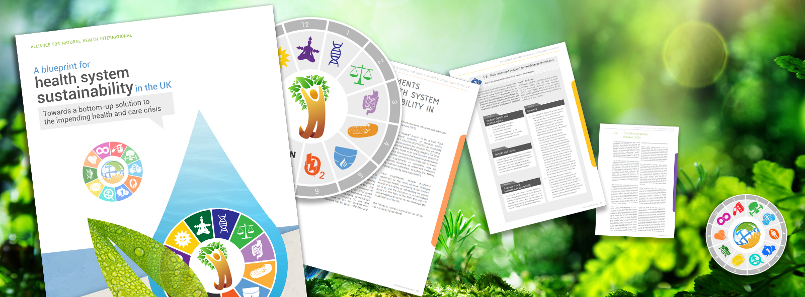 The Great Health Reset | 6 min overview 669a55fe8748a.jpeg