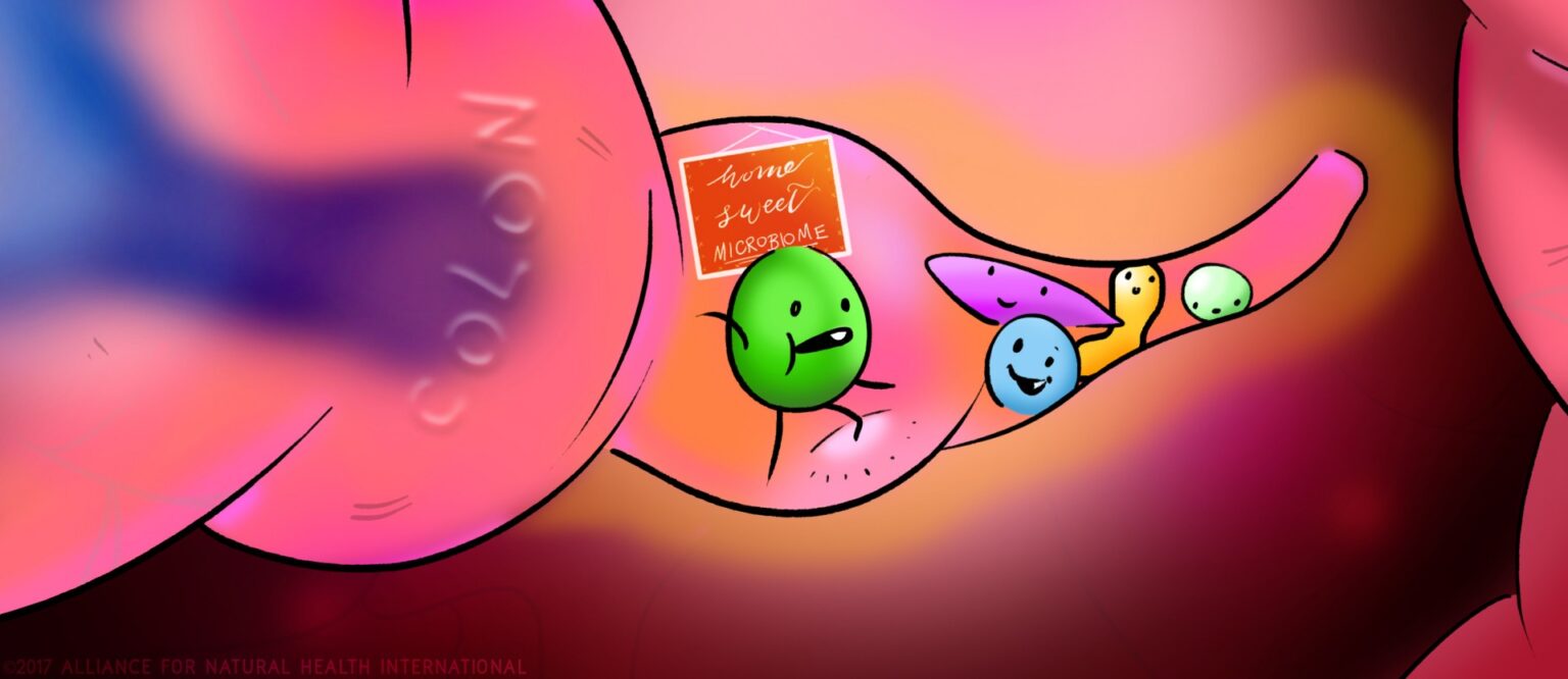 The gut brain connection – a Down Under perspective! 669bb417d7cd3.jpeg