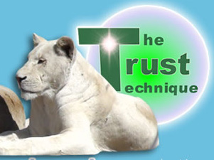 The Trust Technique: a new way to create peace of mind and help worthy causes 669bd4490d257.jpeg