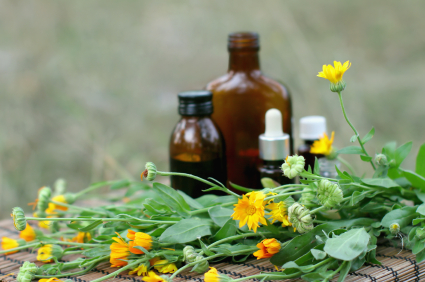 Traditional herbal medicines in the EU: an update 669bd8eac9ad7.jpeg