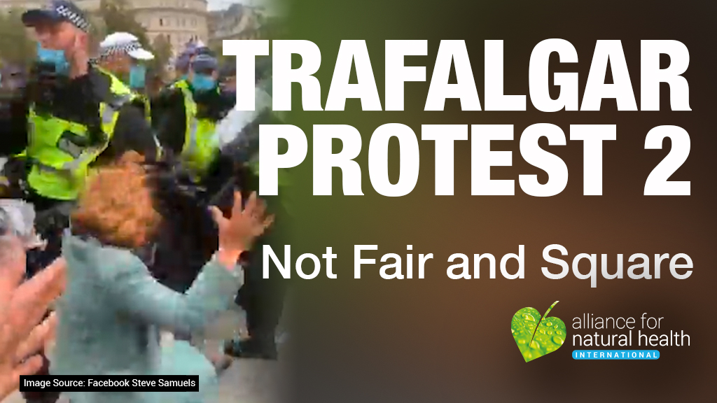 Trafalgar protest transition at the ‘witching hour’ 669b6f4ae80aa.jpeg