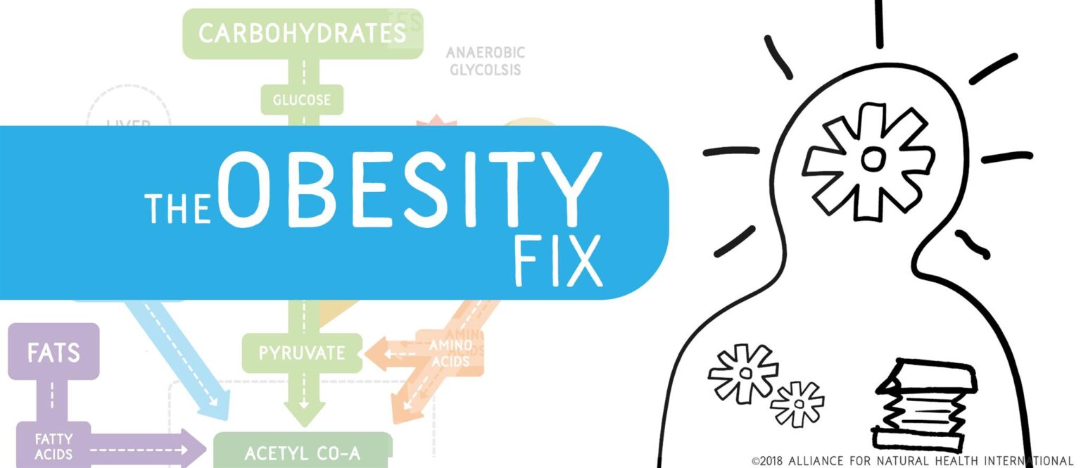 Type 2 Diabetes: the science of resistance 669bae9d80f8c.jpeg