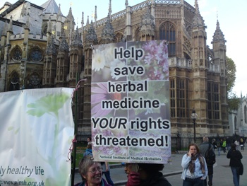 UK Conservative MP voices support for herbalists at Westminster demonstration 669bda231e488.jpeg