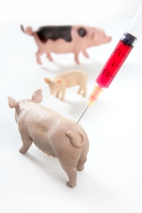 UK Doctors to earn bonuses linked to uptake of swine flu jabs 669bda05825d9.jpeg