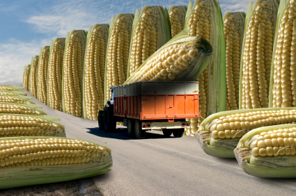 UK FSA ‘to explore consumer views on GM foods’ 669bdab89a9a3.jpeg