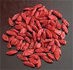 UK set to ban superfoods using EU novel food laws intended for GM crops 669be0120a602.jpeg