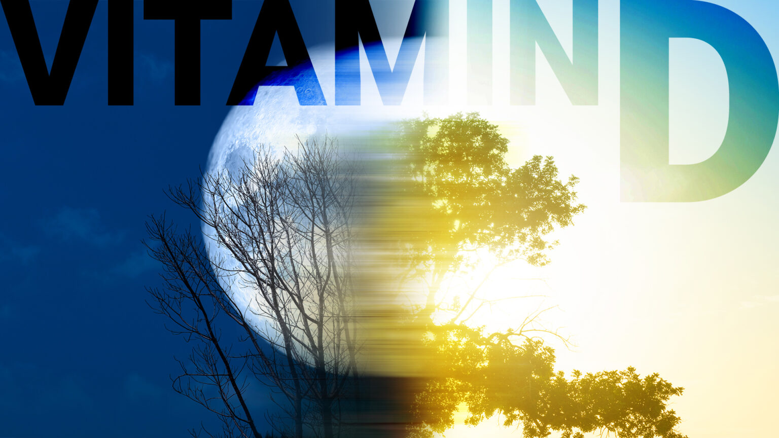 Vitamin D — an evolutionary tale for application 669b07240c1e0.jpeg