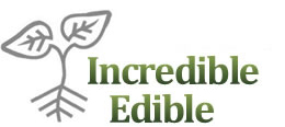 Want healthier food on a budget? Try ‘eating the landscape’! 669bce061a439.jpeg