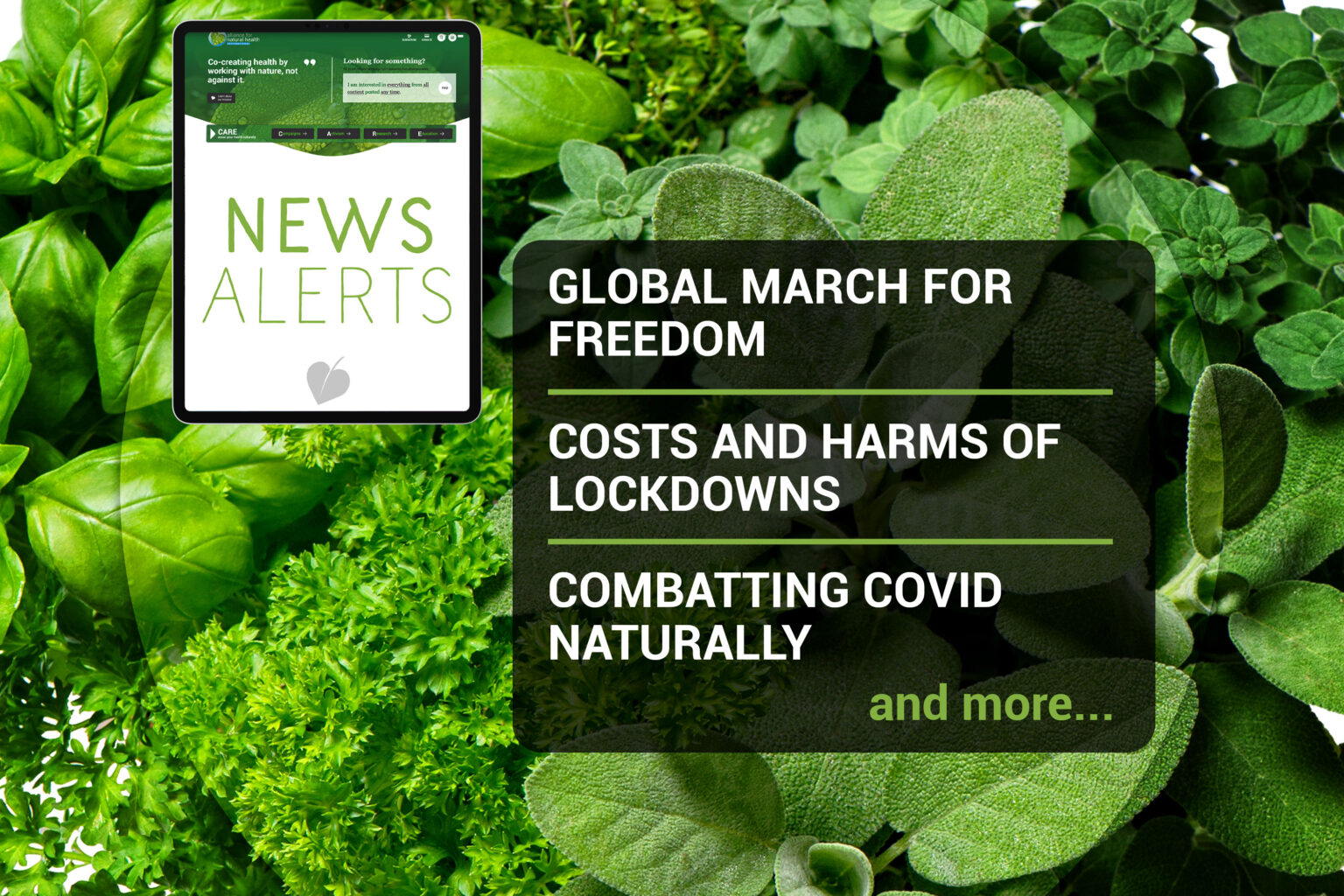 Weekly news update (week 12, 2021) 669b6d04c3ace.jpeg