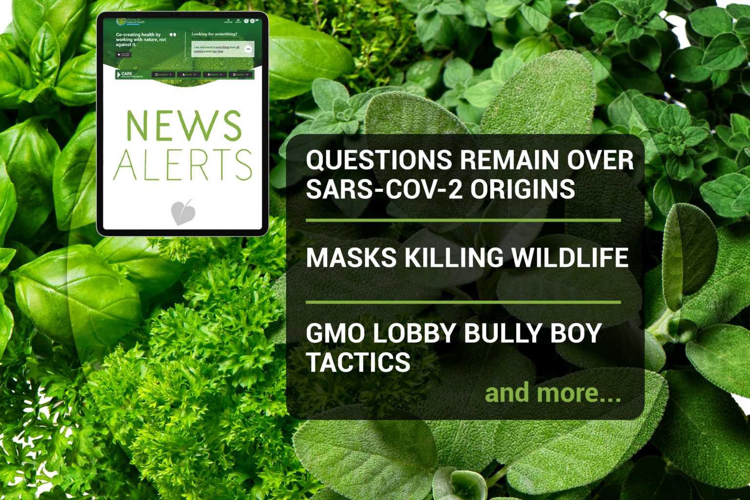 Weekly news update (week 13, 2021) 669b6cf010a38.png