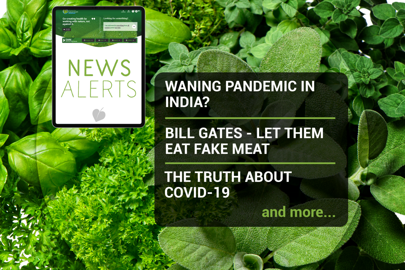 Weekly news update (week 18, 2021) 669b6c68f294b.png