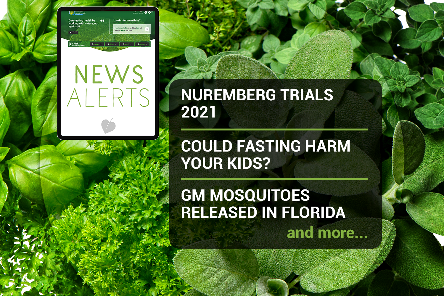 Weekly news update (week 19, 2021) 669b6c54e90a8.png