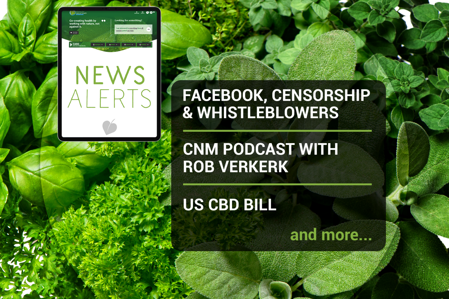 Weekly news update (week 21, 2021) 669b6c2649bfc.png