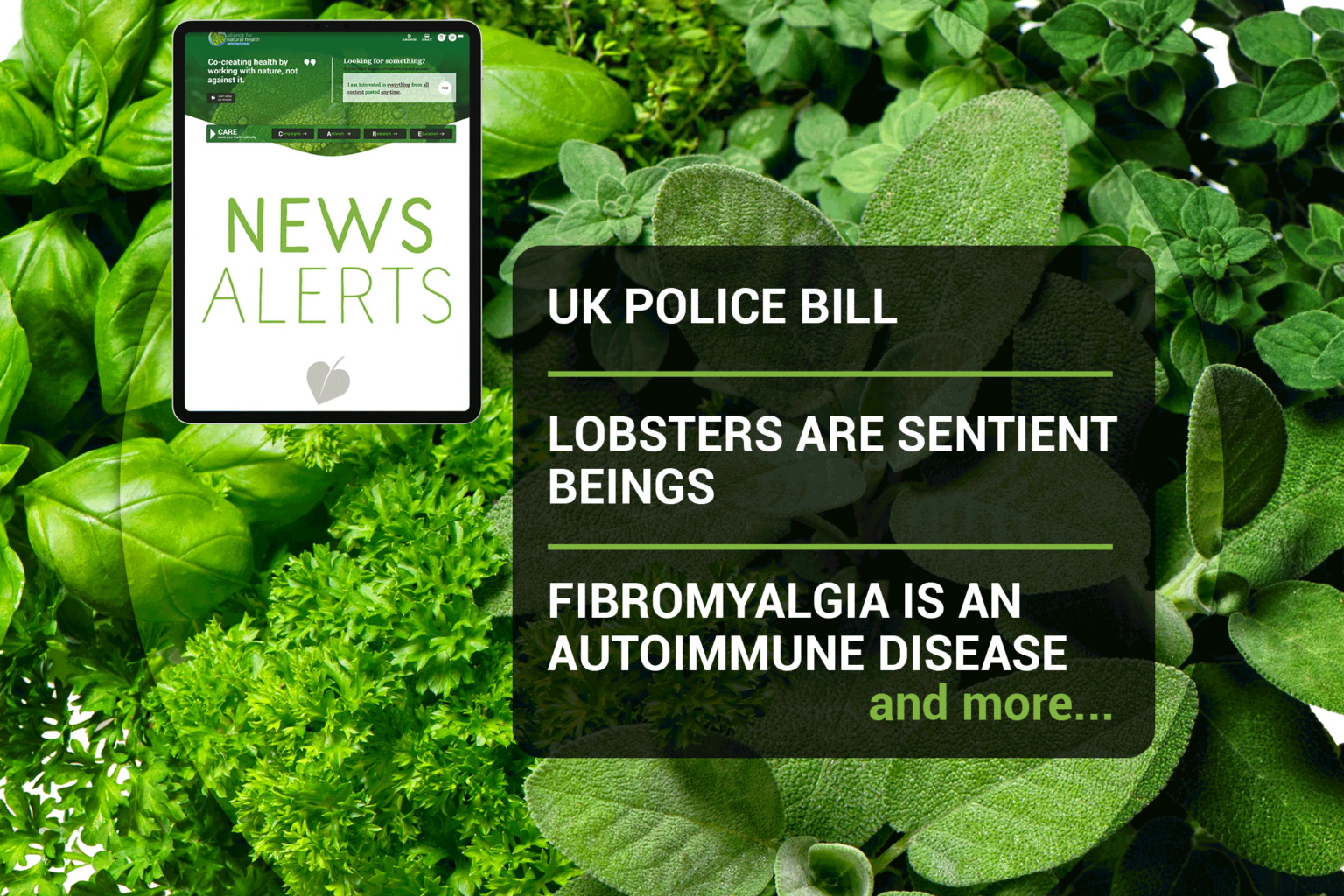 Weekly news update (week 27, 2021) 669b6ba6815e2.png