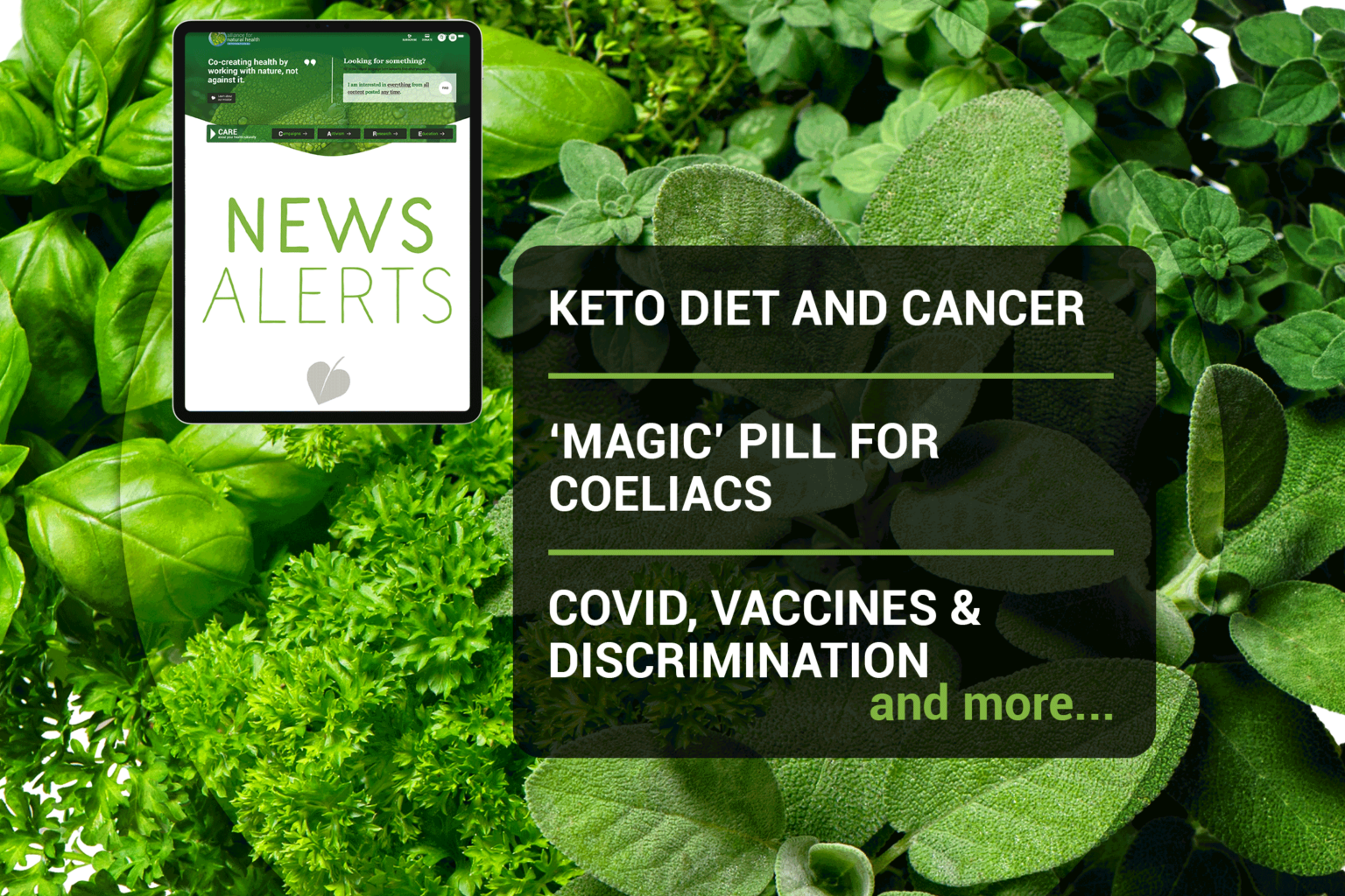 Weekly news update (week 28, 2021) 669b6b934fdd8.png