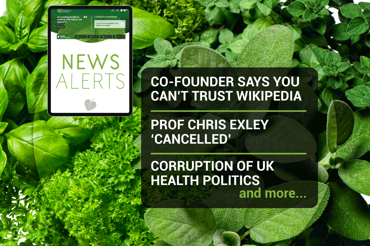 Weekly news update (week 29, 2021) 669b6b7a5ea5b.png
