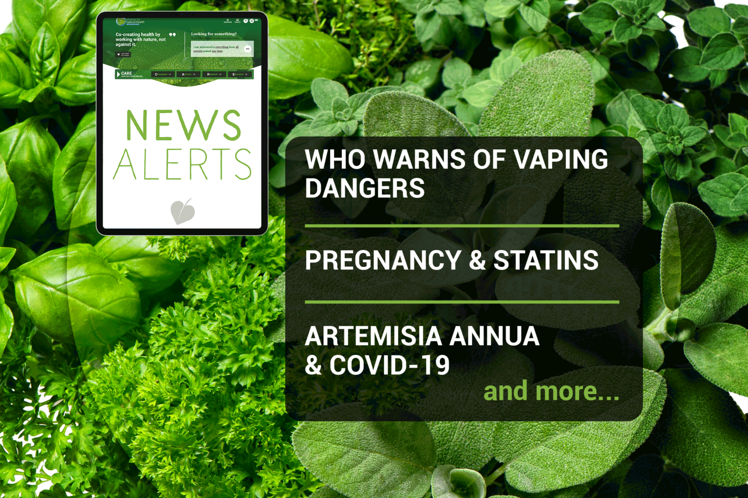 Weekly news update (week 30, 2021) 669b6b56f2fce.png
