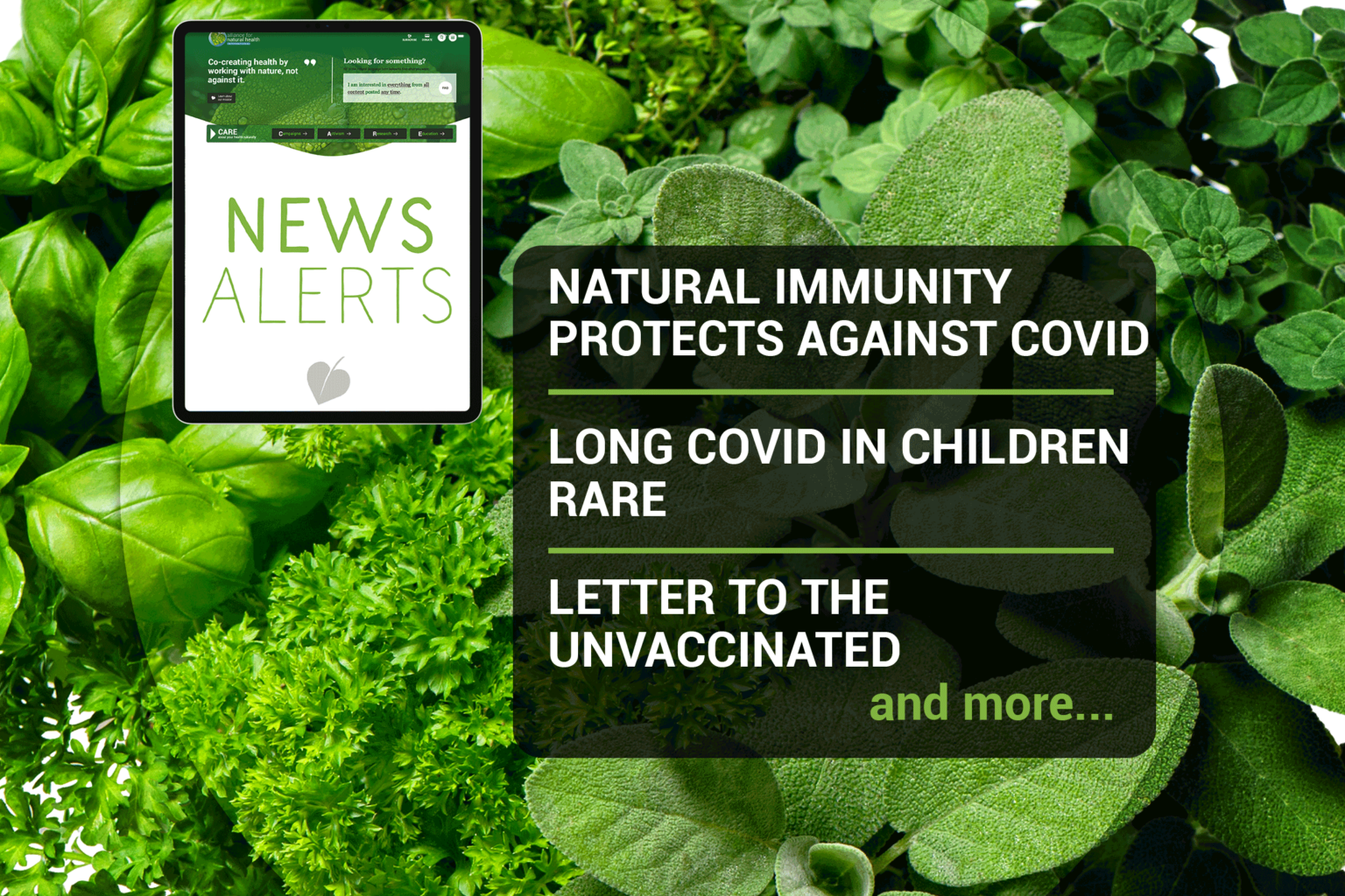 Weekly news update (week 31, 2021) 669b6b37ddc77.png