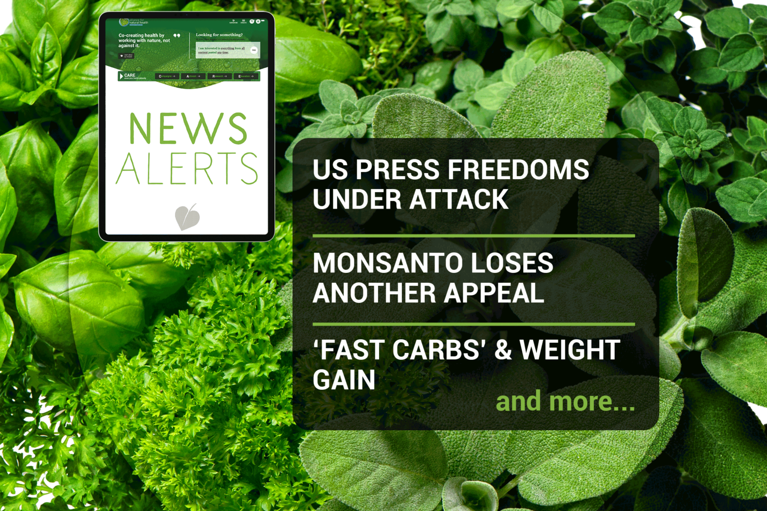 Weekly news update (week 33, 2021) 669b6b17ac87c.png
