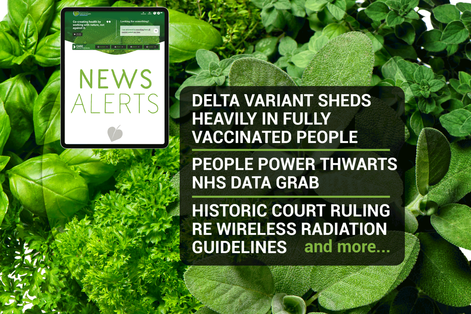 Weekly news update (week 34, 2021) 669b6af9de2ec.png