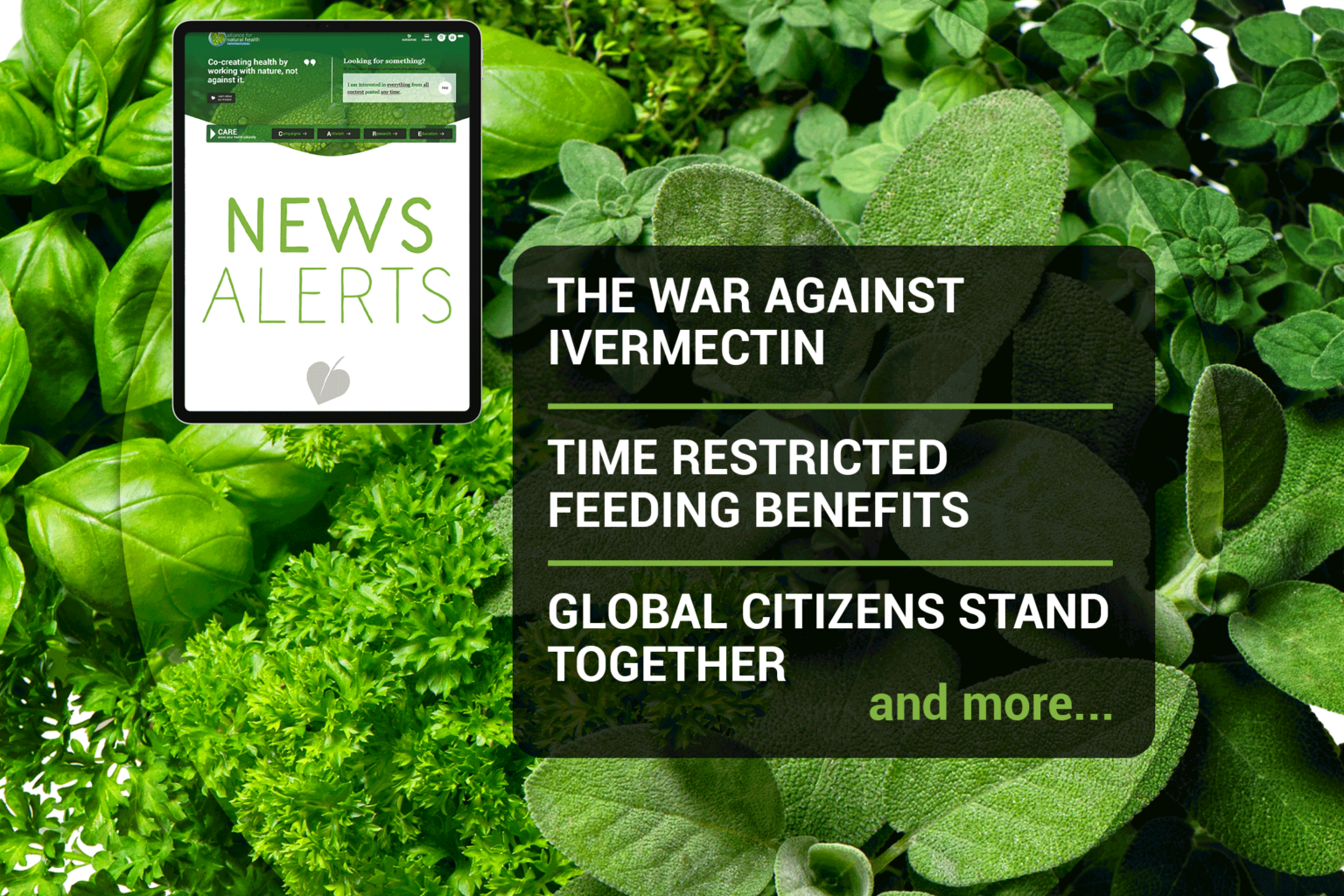 Weekly news update (week 36, 2021) 669b6ad986c2e.png