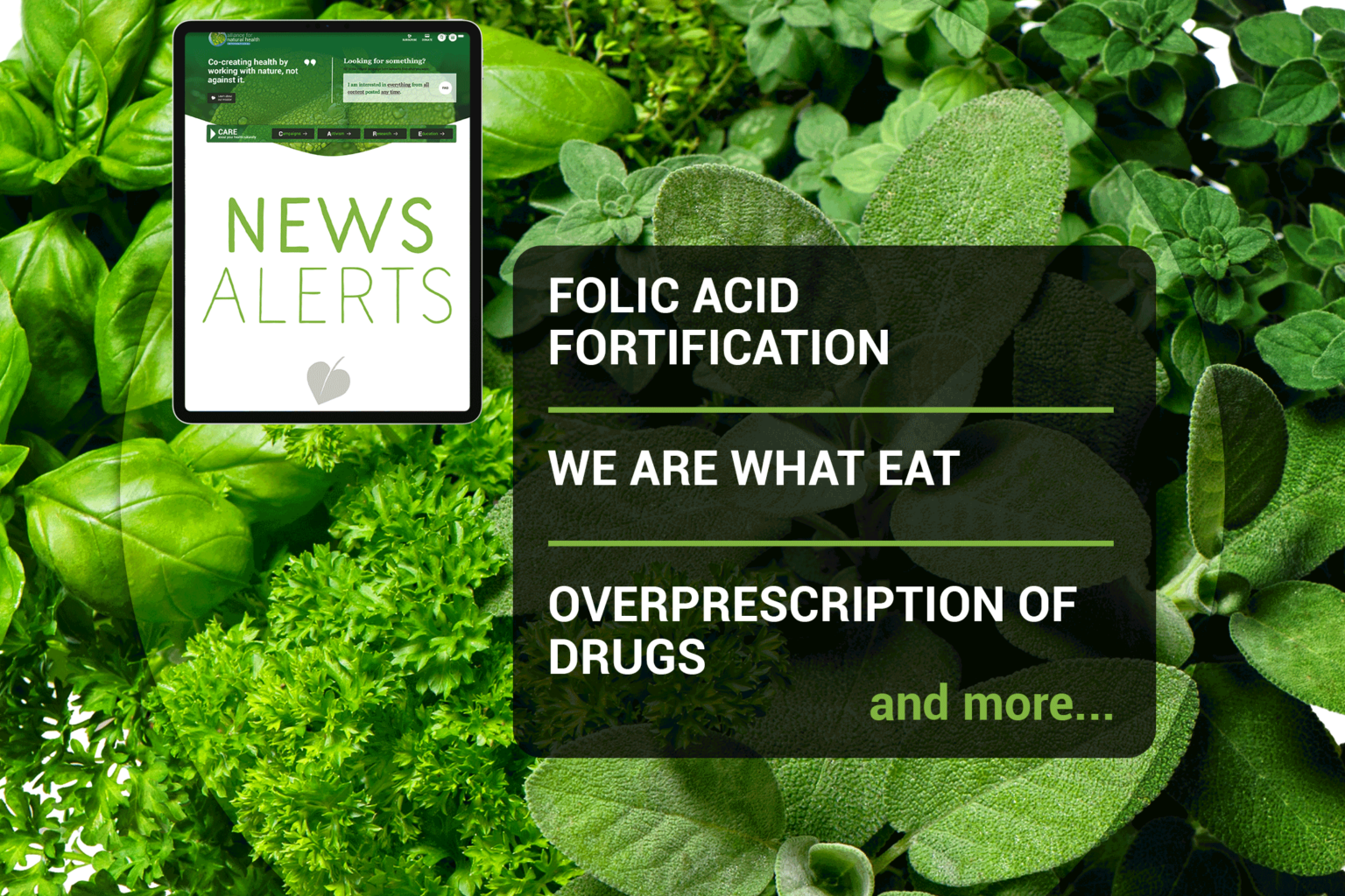 Weekly news update (week 38, 2021) 669b6abc2c813.png