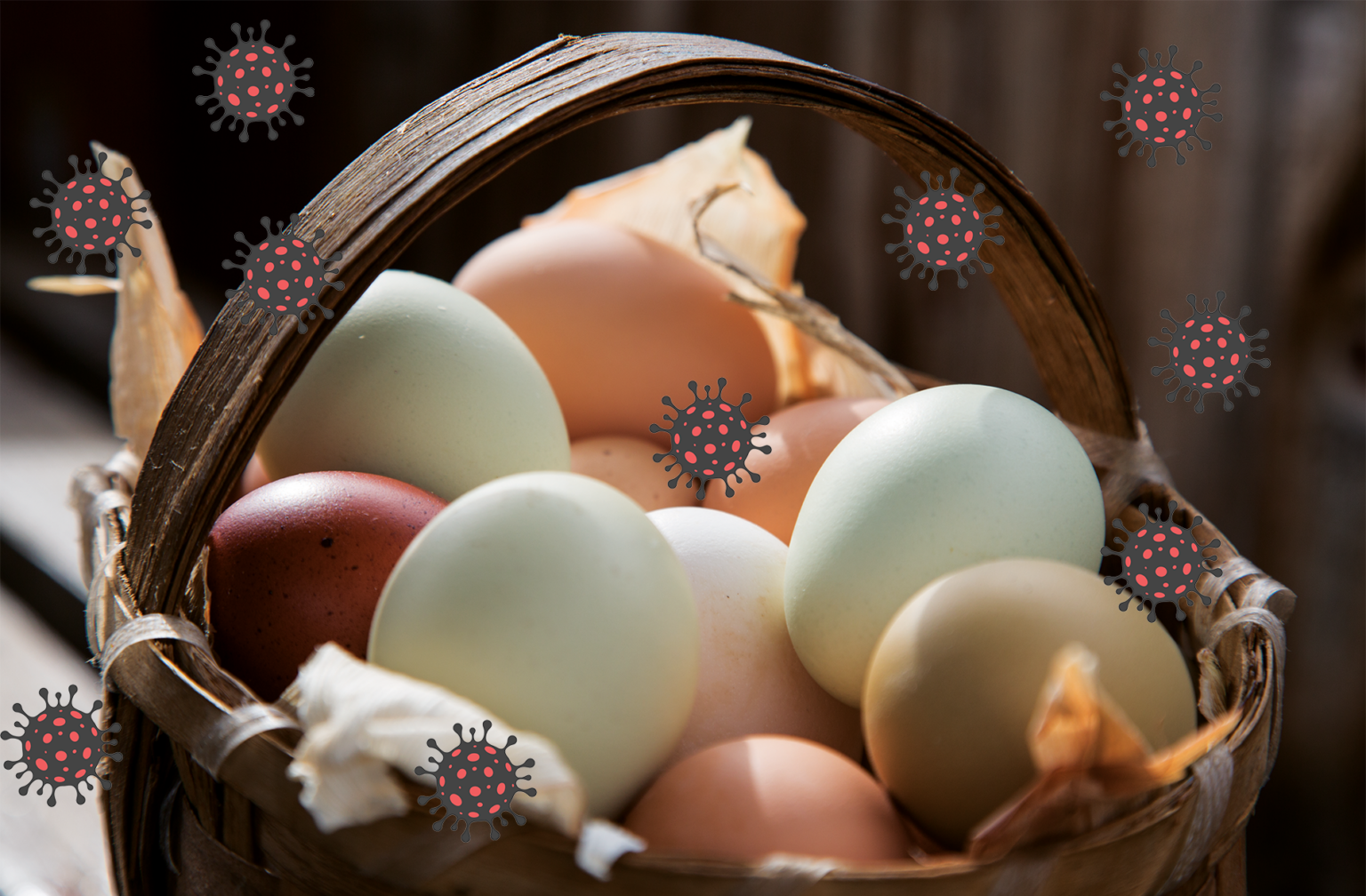 Why we need more eggs in the covid basket 669b6ccca5b2f.png