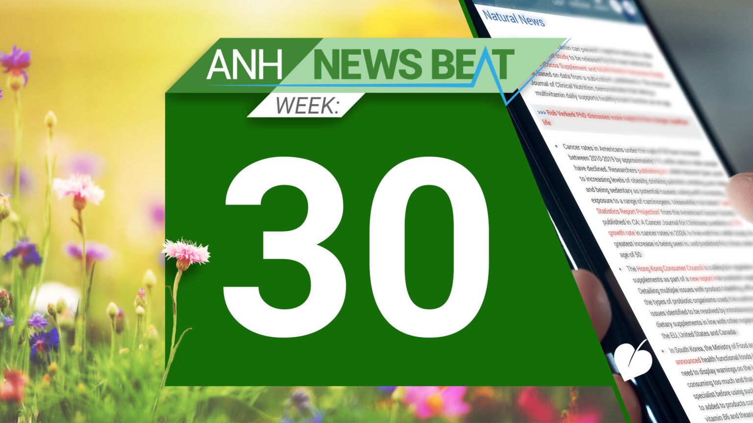 ANH News Beat (week 30/2024) 66b1dcac36e9e.jpeg