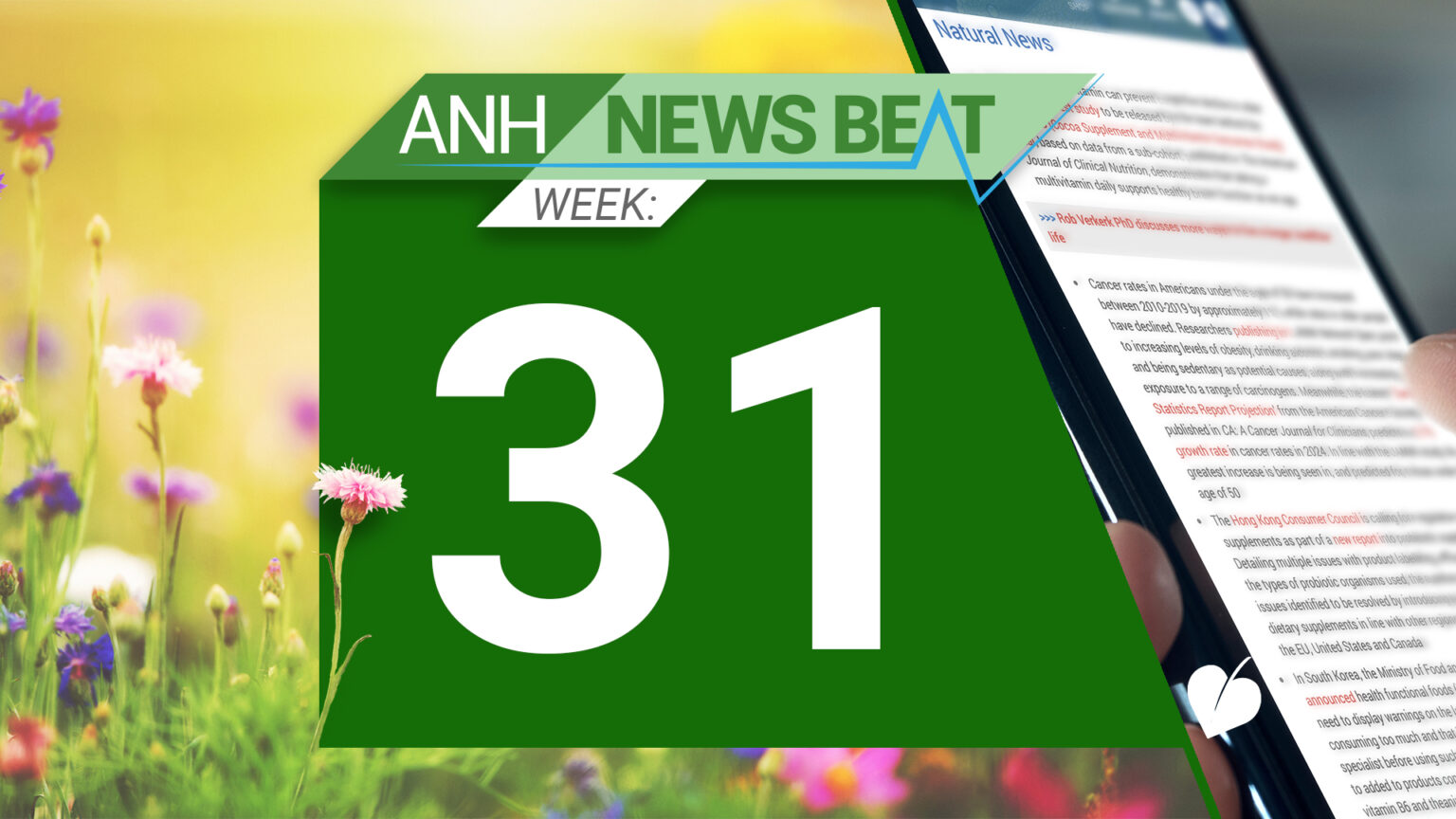 ANH News Beat (week 31/2024) 66b1dc541b80e.jpeg