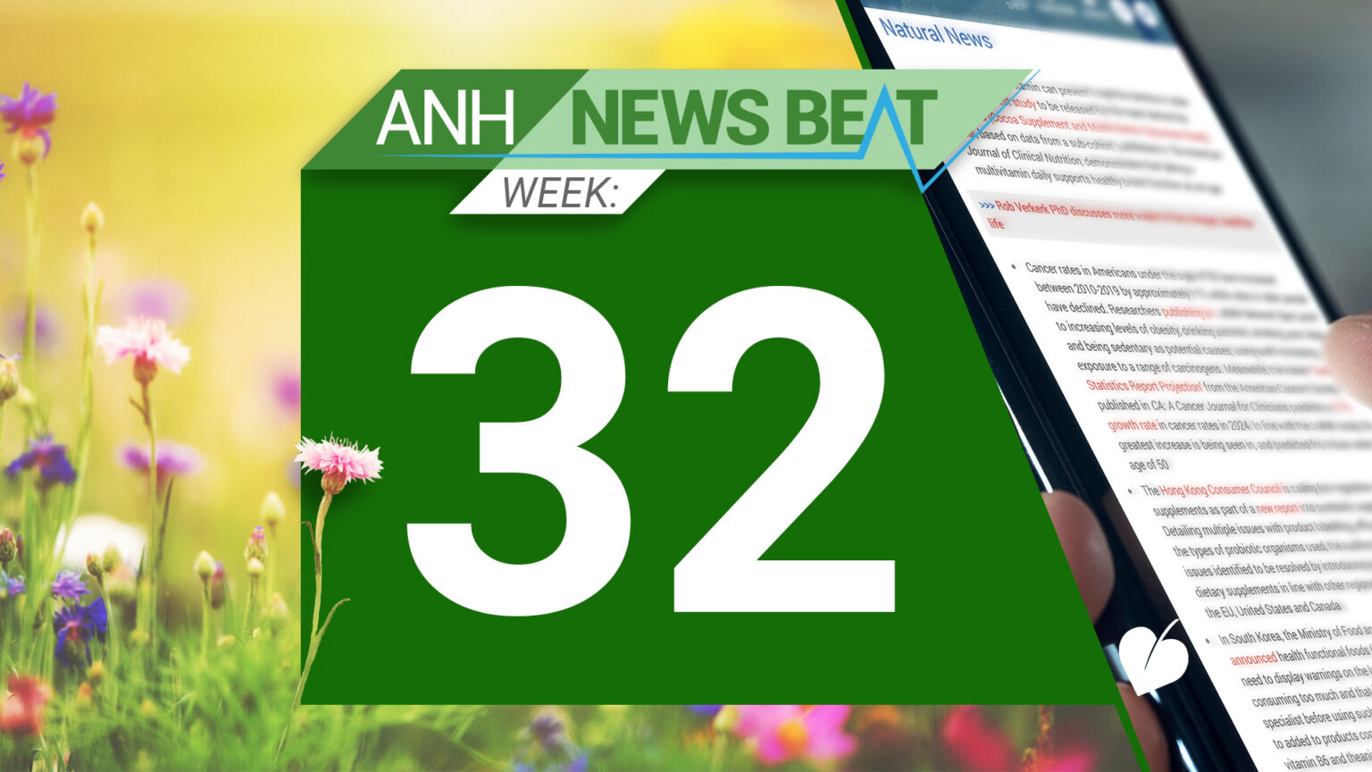ANH News Beat (week 32/2024) 66ba77b9e8c4a.jpeg