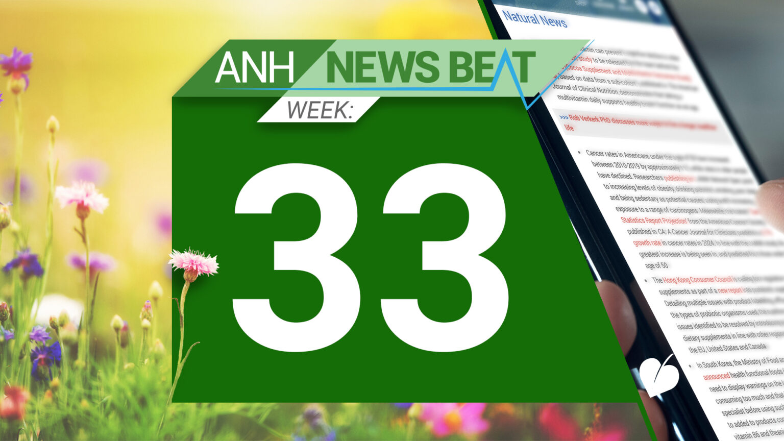 ANH News Beat (week 33/2024) 66c39c4b10031.jpeg