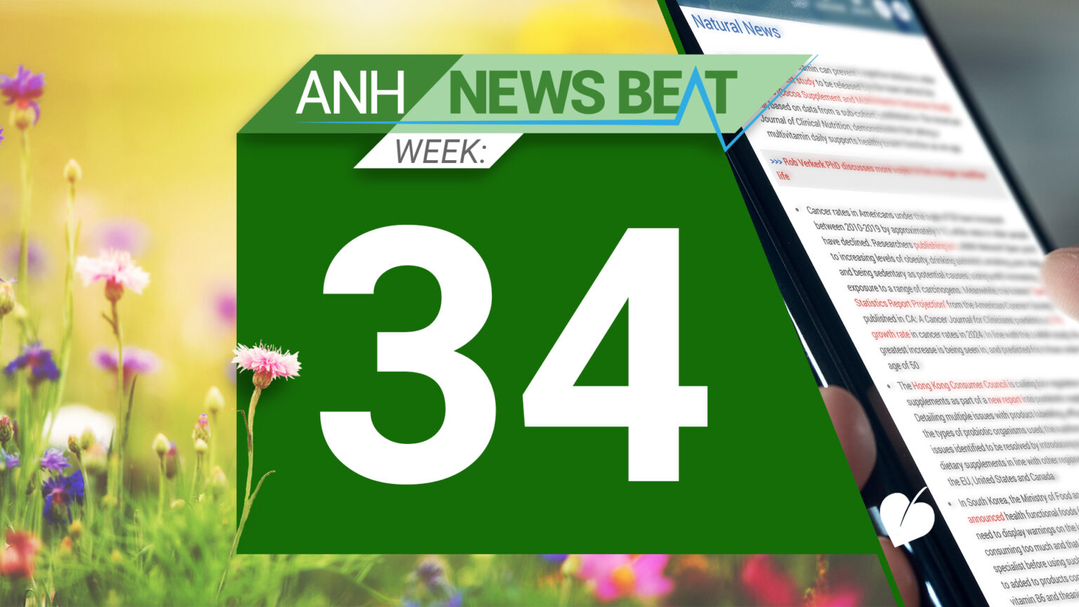 ANH News Beat (week 34/2024) 66ccae90158f2.jpeg