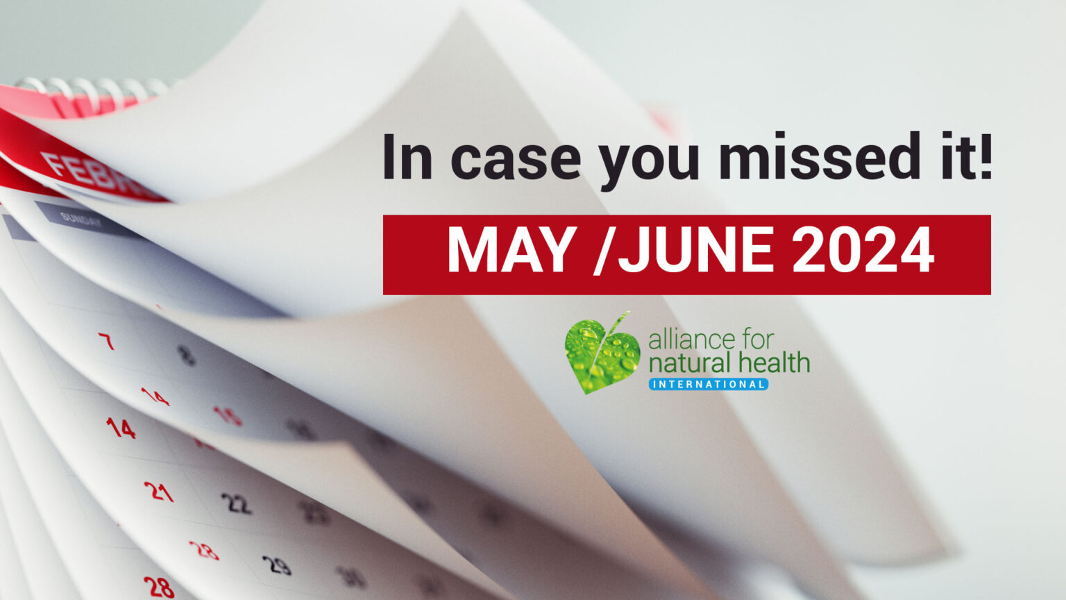 In Case you Missed it – May & June 2024 66b1ddc35083a.jpeg